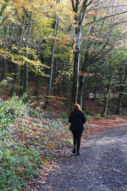 这是一个难以辨认的红发少女在秋天的阳光下走在英国乡村林地的荫凉小路上，昏暗的柏油马路，秋天彩色的树叶，光秃秃的树枝，冠状病毒封锁演练