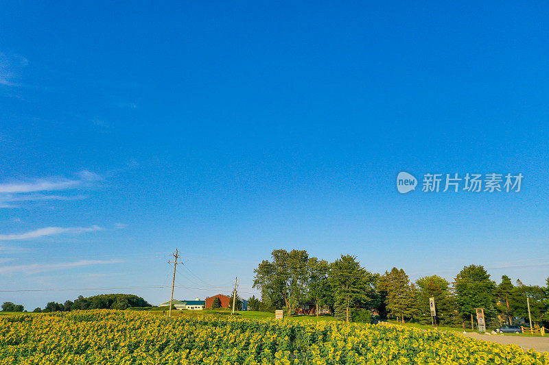 加拿大库克敦，夕阳下27号公路上的农场