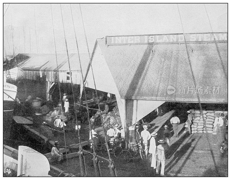 古董黑白照片:夏威夷火奴鲁鲁岛间轮船公司的码头