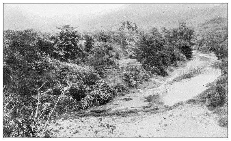 古董黑白照片:波多黎各阿波尼托山口附近的小溪