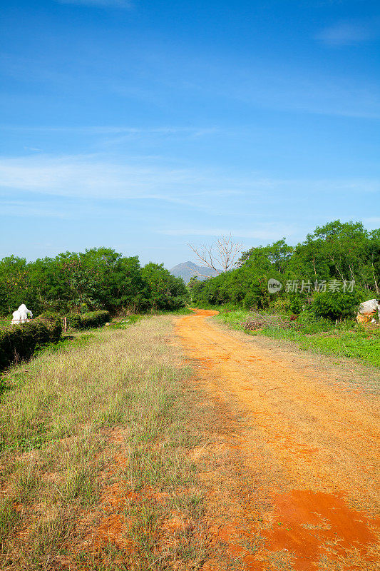 白庄考雅景观中的红土公路