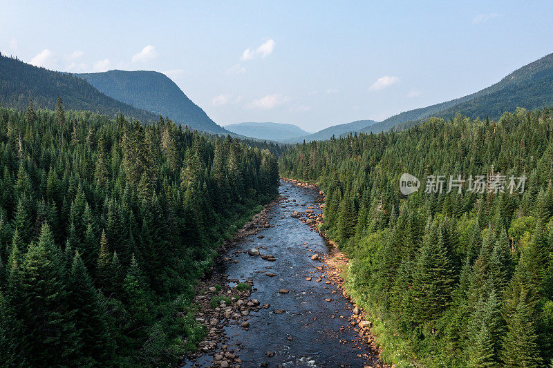 鸟瞰图的北方自然森林和河流在夏天，魁北克，加拿大