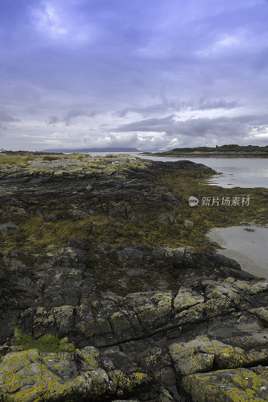 苏格兰阿里斯格附近的银沙滩上覆盖着青苔的岩石。