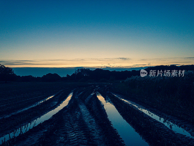 雨后的一片田地，到处是水和拖拉机的足迹。