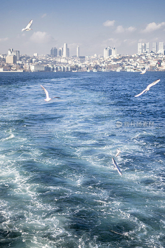 美丽的城市是İstanbul，土耳其