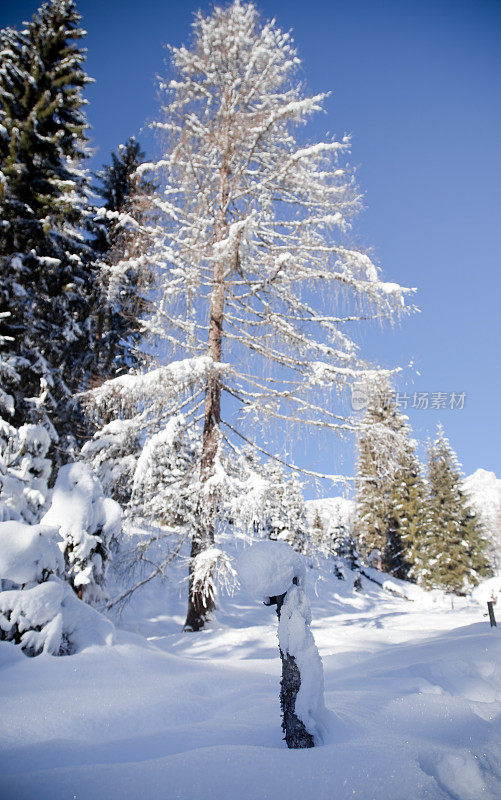 白雪皑皑的山峰