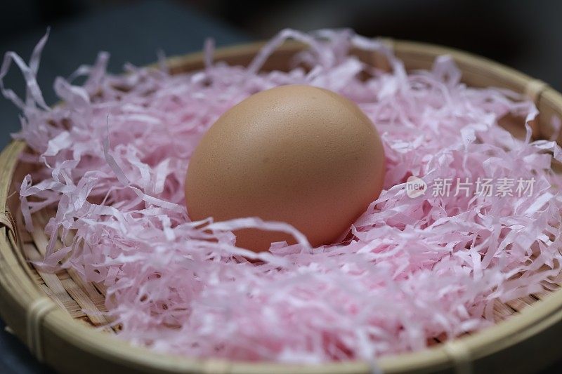 蛋在巢中孵化