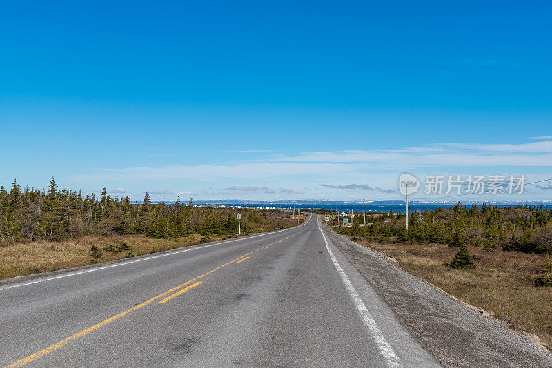 NL-430高速公路的景色，绿岛湾，纽芬兰和拉布拉多，加拿大