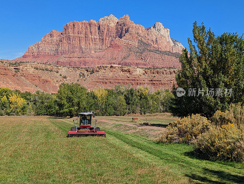 在犹他州罗克维尔的格拉夫顿路上，田野里新割的干草，背景是锡安国家公园的红色岩石，包括基内萨瓦山