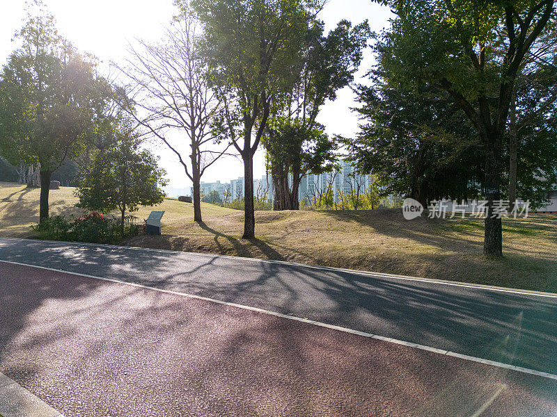 公园里空荡荡的五彩柏油路