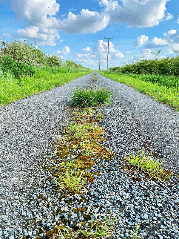 狭窄的乡间小路，中间有坑坑洼洼的草地