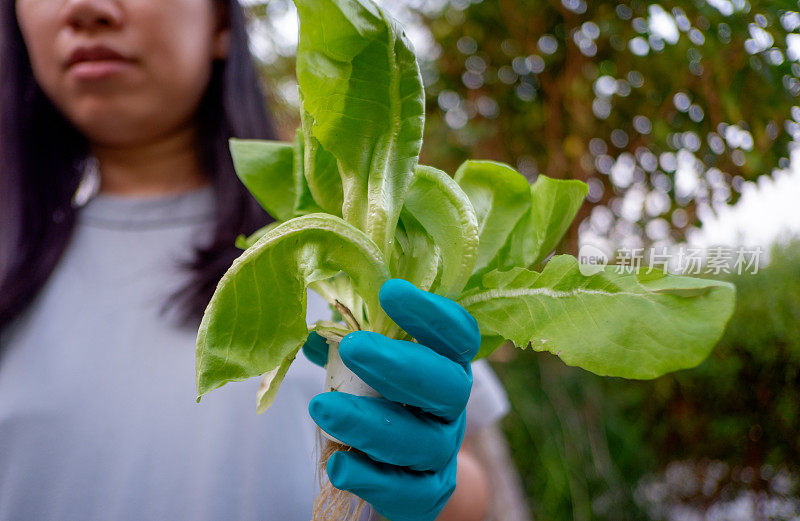 手持绿叶植物的女园丁。