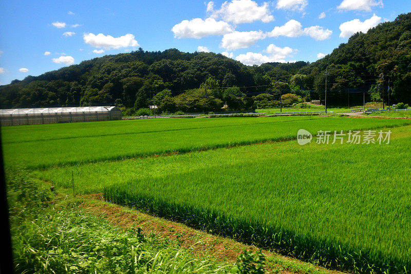 日本东部乡村景观:东武铁路观景