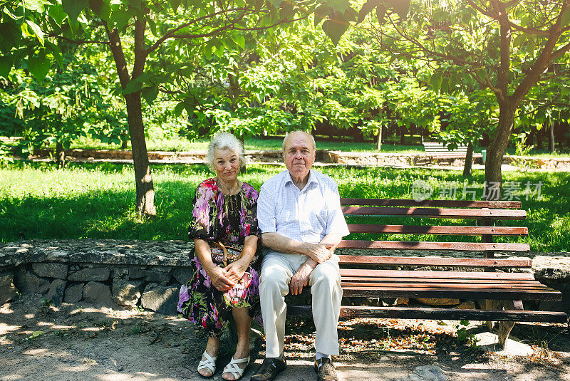 漂亮的老夫妇坐在公园的长椅上。奶奶和爷爷拥抱着，微笑着。金婚纪念日快乐。奶奶和爷爷的浪漫照片。真正的爱。