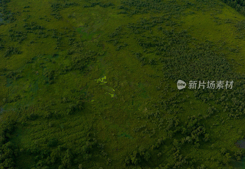 龙安省朗森湿地保护区，世界湿地之一