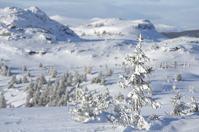 从滑雪坡在Kvitfjell高山滑雪胜地在挪威