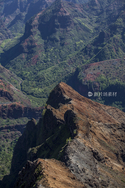 夏威夷考艾岛威美亚峡谷州立公园