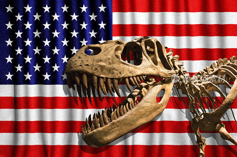 雷克斯霸王龙骨架在美国国旗背景
