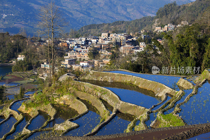 元阳梯田