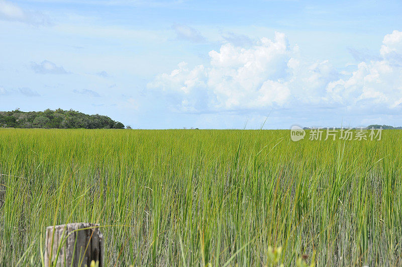 绿草蓝天