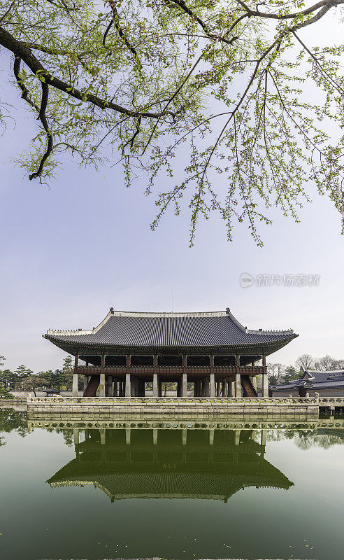 韩国首尔京畿道阁映湖景福宫花旗