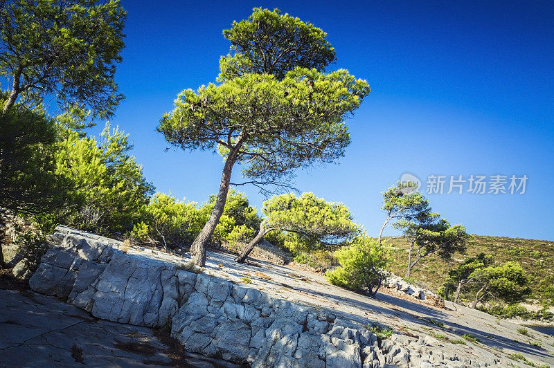 赫瓦尔岛，自然，天空，岩石和松树，克罗地亚