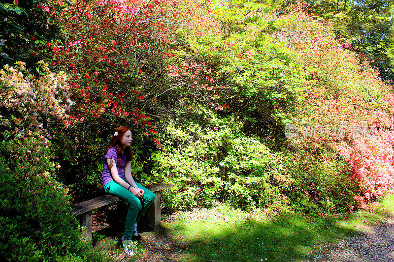 女孩坐在杜鹃花旁的花园木凳上