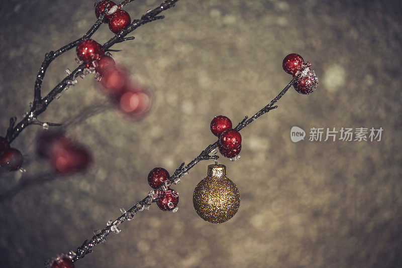 用浆果和树枝装饰的圣诞背景