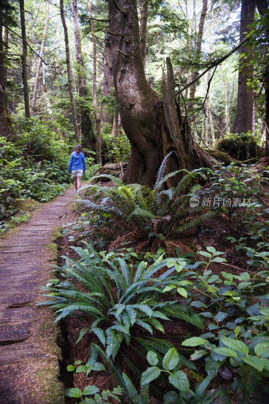女孩徒步穿越温哥华岛的雨林