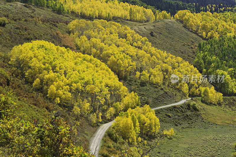 穿越科罗拉多州秋天山杨的土路