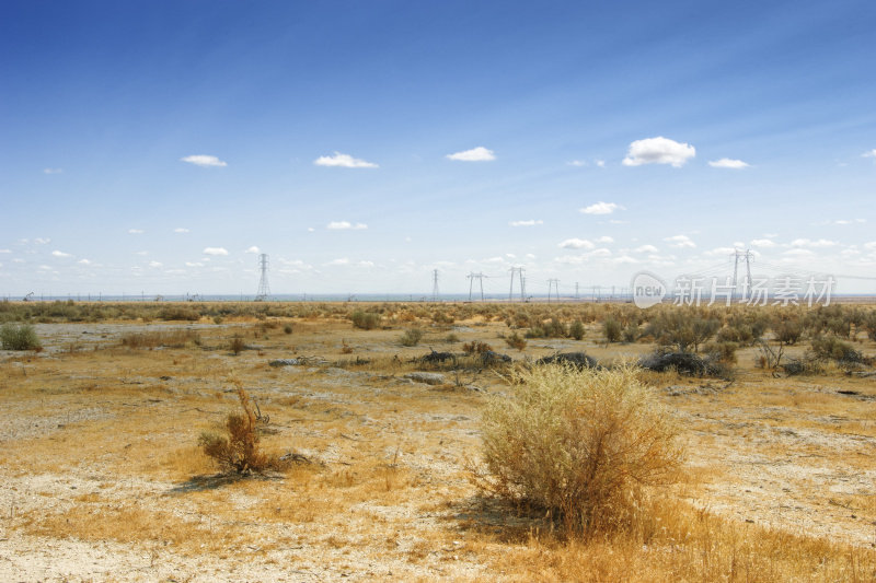 沙漠风滚草与电力塔的背景