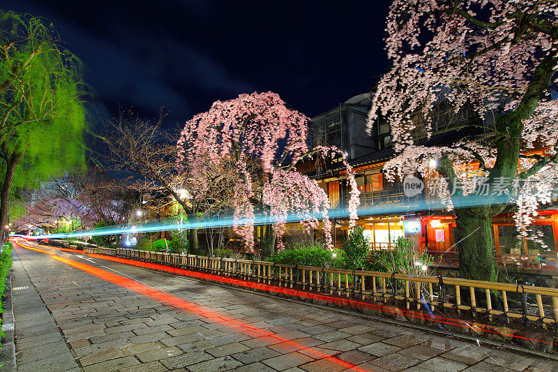 京都春光夜景