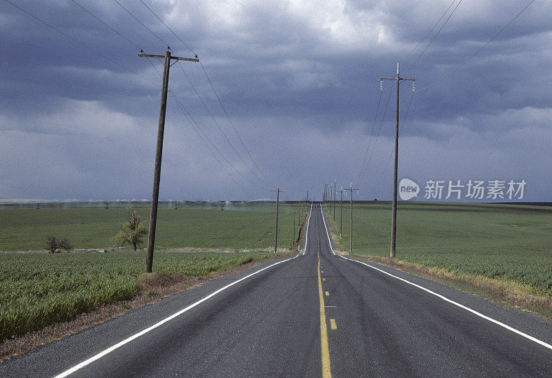 小麦和高速公路