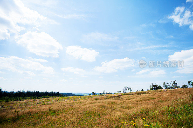 草在卡勒阿斯滕和夏季全景