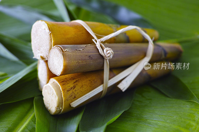 市场新鲜清蒸泰国竹笋。