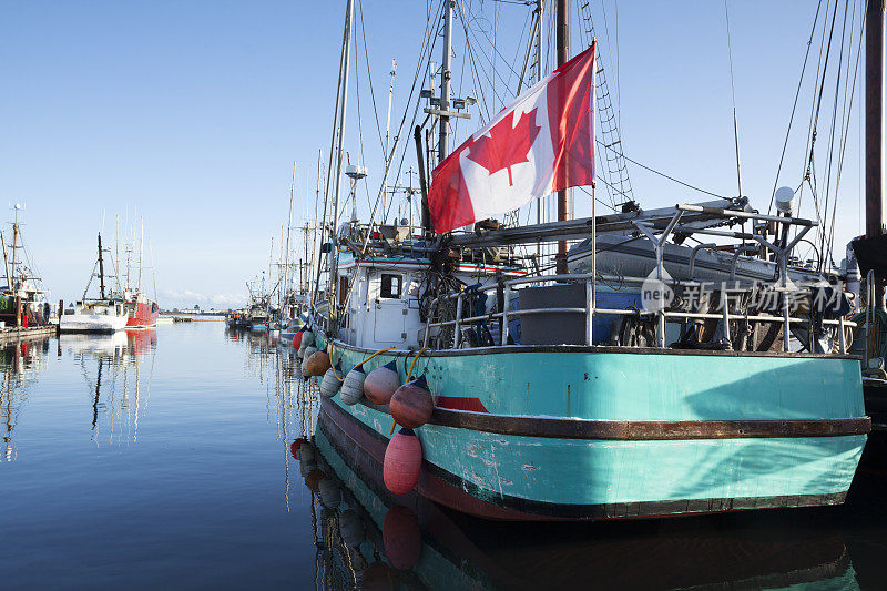 温哥华岛的Comox谷拖网渔船
