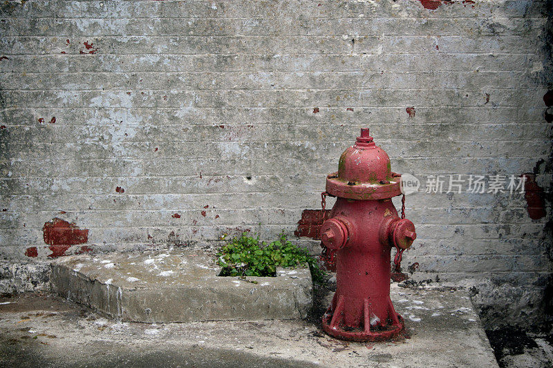 单一的红色消火栓