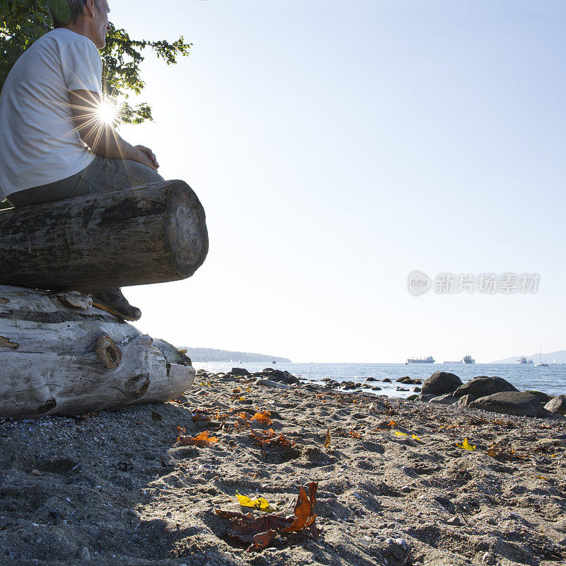 男子在海滩上方的原木上放松，沉思着