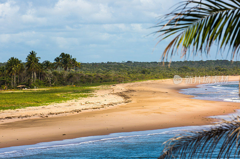 巴西巴伊亚的热带海滩