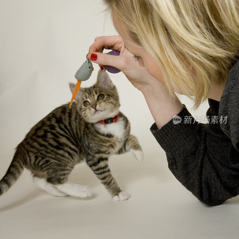 一个年轻的女人在白色的背景上玩一只小猫