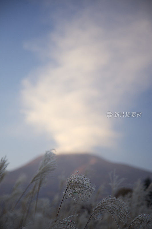 活跃的火山