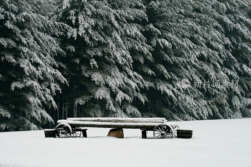 假日雪场景