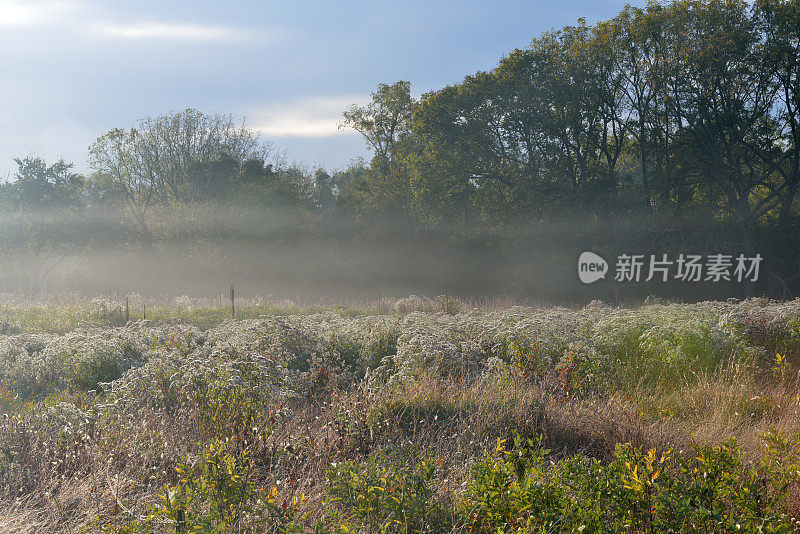 福吉谷国家历史公园的草地