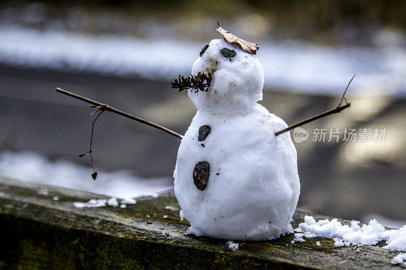 迷你雪人