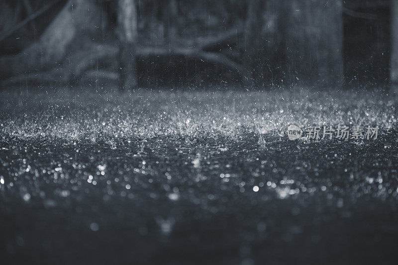 森林里的大雨