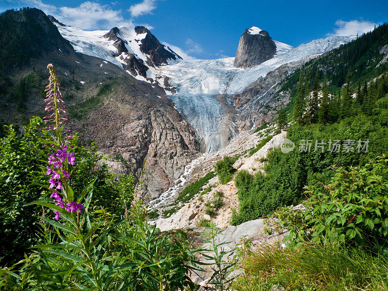 加拿大山景观