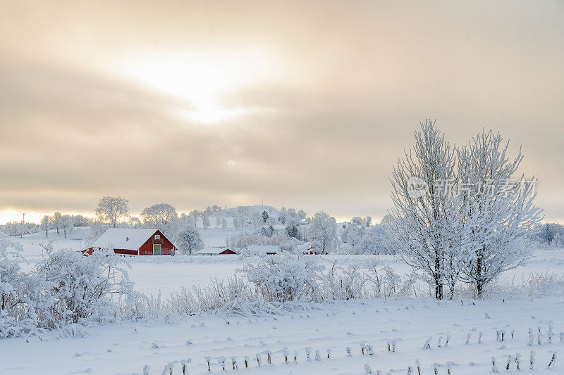 农场在一个冬天有雪和霜的乡村景观