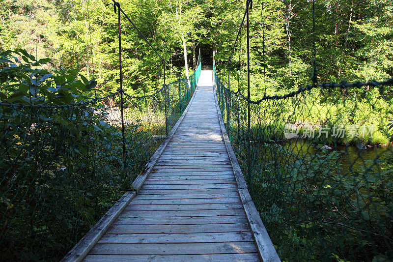 树林里的吊桥