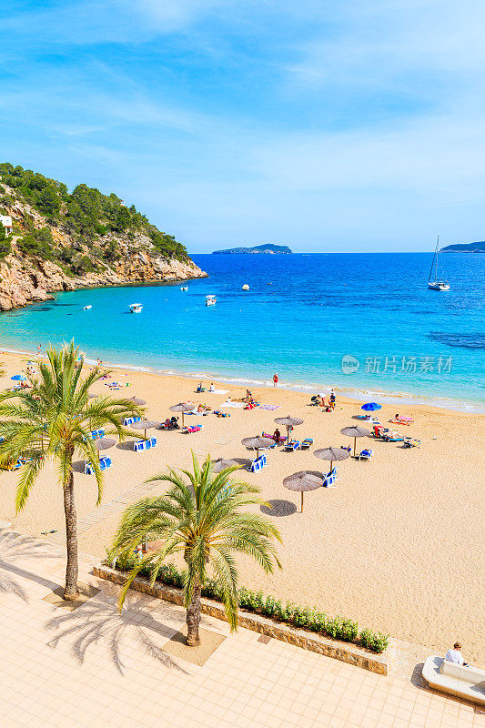 棕榈树和阳光躺椅在沙卡拉圣维森特海滩，伊比沙岛，西班牙