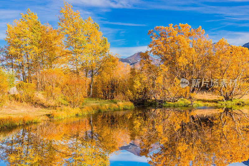 秋天的颜色在加利福尼亚内华达山脉猛犸湖，加州